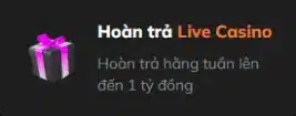 hoàn trả